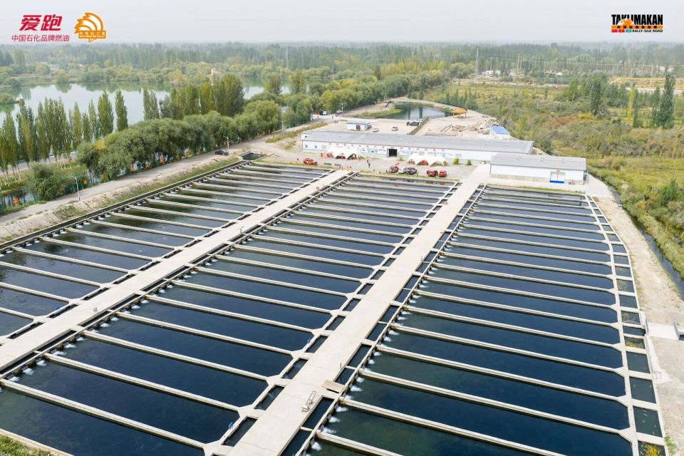 回味无穷, fkjwH, ORo