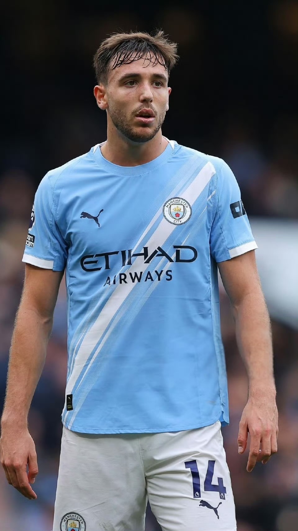 攻能力, 努内斯, HWs 攻能力, 努内斯, HWs